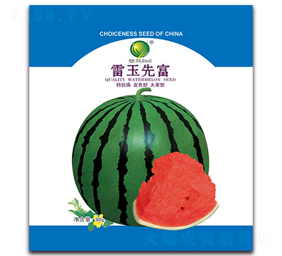 �����ȸ�-���ϷN��-����N�I(y��)