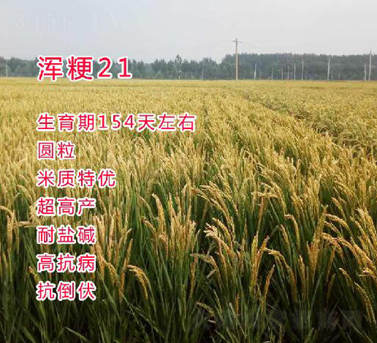 ����21-ˮ���N��-���ƷN�I(y��)