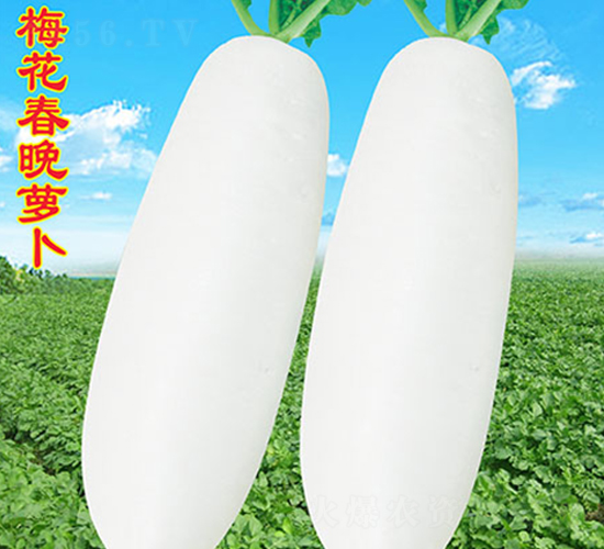 ÷�������}��-�}���N��-�f(w��n)�r(n��ng)�߿�