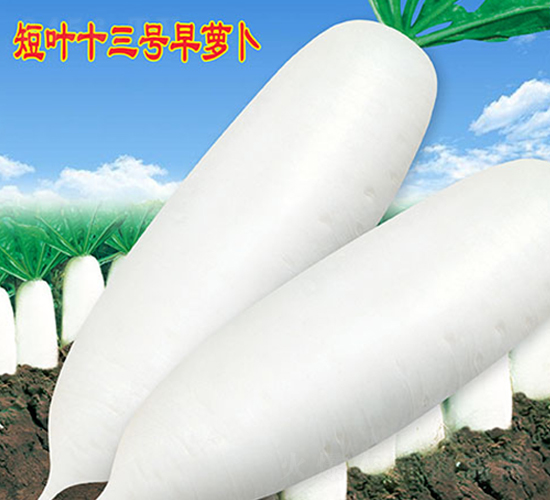 ���~ʮ��̖(h��o)���}��-�}���N��-�f(w��n)�r(n��ng)�߿�