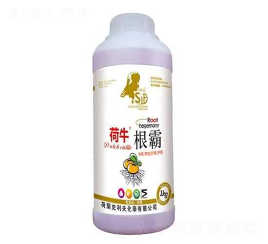 ����-��ţ-ʷ����