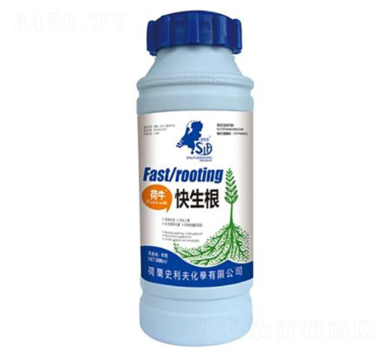 ��ţ������-ʷ����