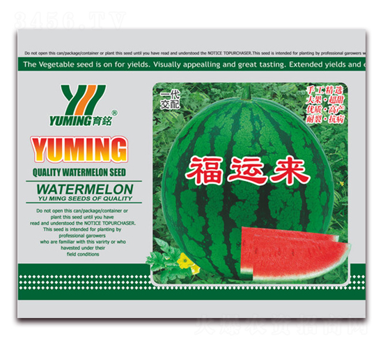 ���\(y��n)��-���ϷN��-����(y��u)�߿�