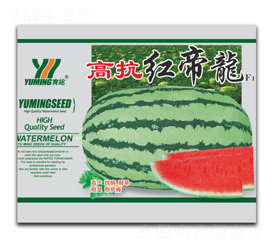 �߿��t����F1-���ϷN��-����(y��u)�߿�