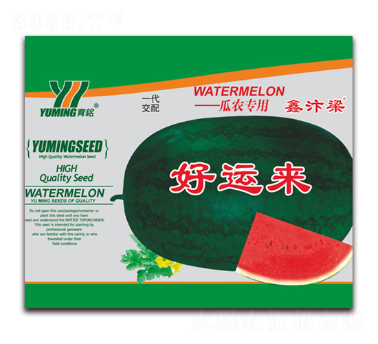 ���\(y��n)��-���ϷN��-����(y��u)�߿�