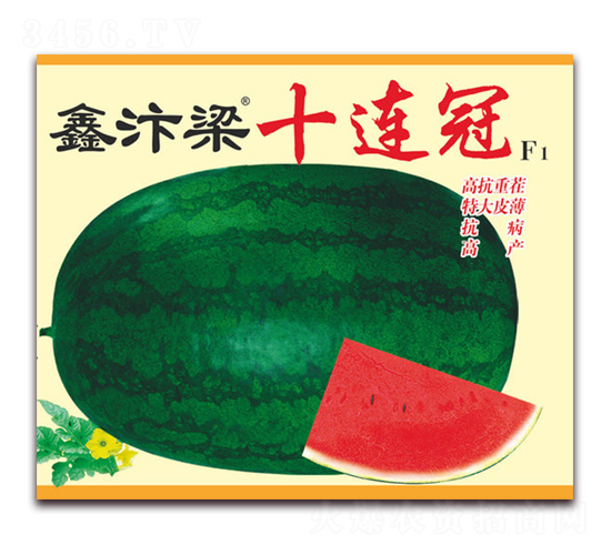 ������ʮ�B��F1-���ϷN��-����(y��u)�߿�