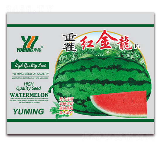 �ز�t����F1-���ϷN��-����(y��u)�߿�