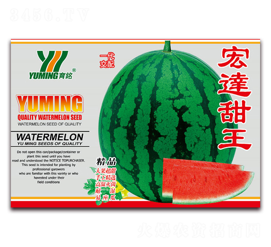 ���_����-���ϷN��-����(y��u)�߿�