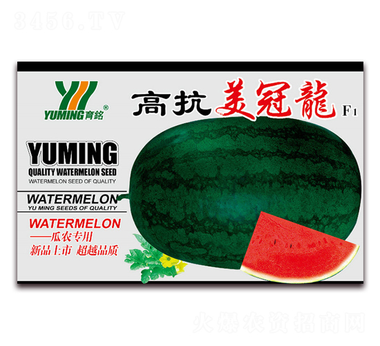 �߿�������F(tu��n)1-���ϷN��-����(y��u)�߿�