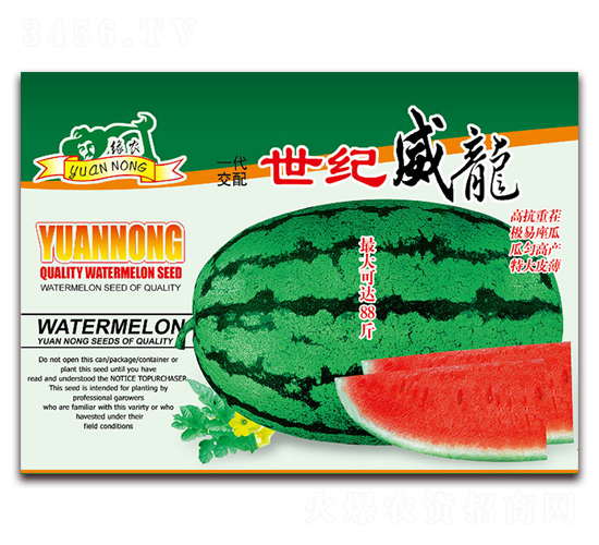 ���o(j��)����-���ϷN��-����(y��u)�߿�