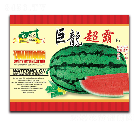 ��������-���ϷN��-����(y��u)�߿�