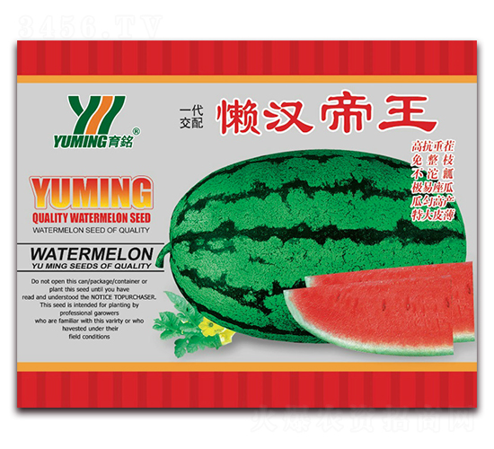 �Нh����-���ϷN��-����(y��u)�߿�