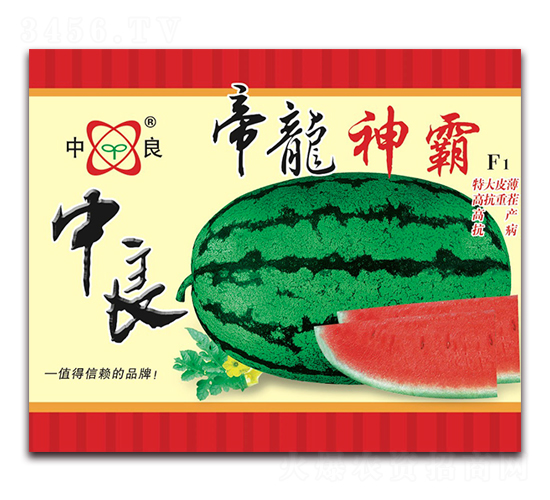 �������-���ϷN��-����(y��u)�߿�