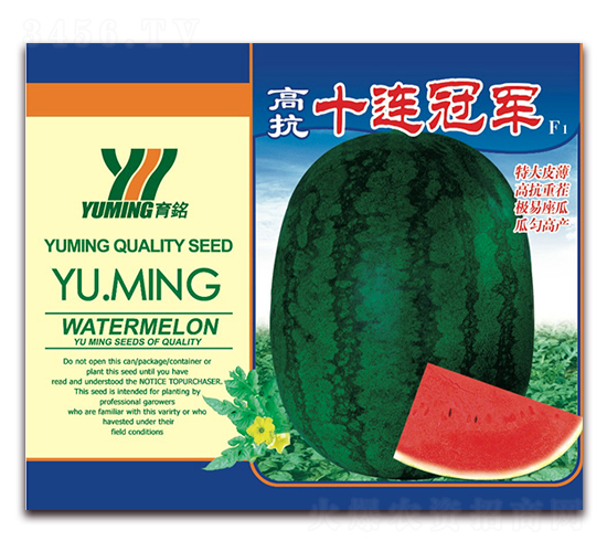 �߿�ʮ�B��܊-���ϷN��-����(y��u)�߿�