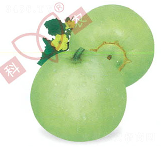 ������̖(h��o)-��ϷN��-���r(n��ng)�N�I(y��)