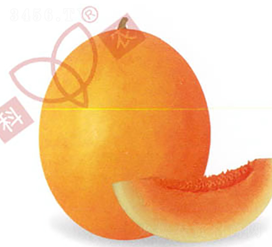 ������̖-��ϷN��-���r(n��ng)�N�I(y��)