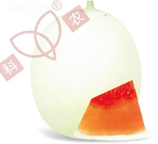 ������̖(h��o)-��ϷN��-���r(n��ng)�N�I(y��)