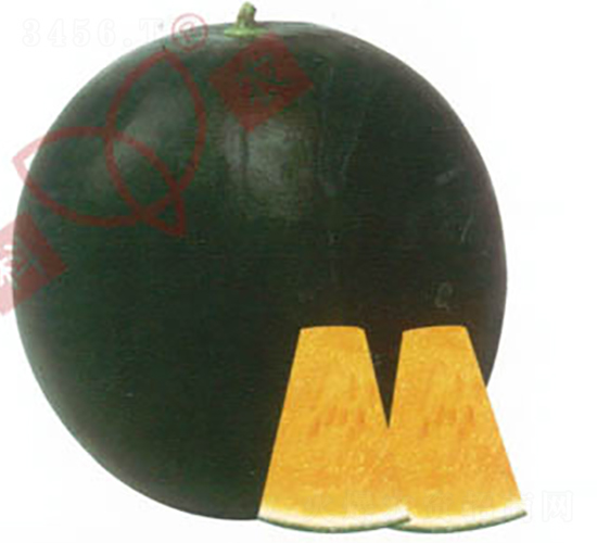 ���r�o����̖-���ϷN��-���r�N�I(y��)