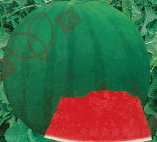 ���r(n��ng)�o��һ̖-���ϷN��-���r(n��ng)�N�I(y��)