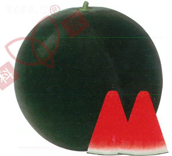 ���r�o����̖-���ϷN��-���r�N�I(y��)