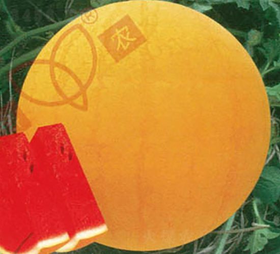 �t̫ꖼtȿ-���ϷN��-���r(n��ng)�N�I(y��)