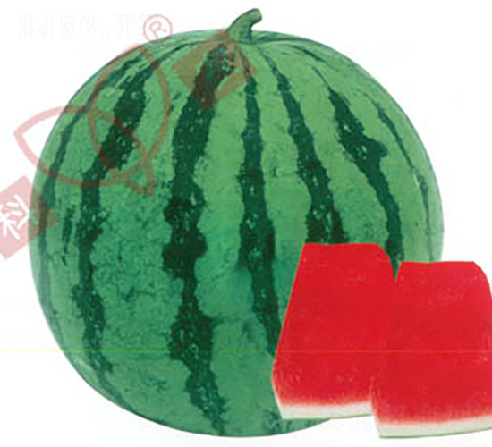 84-24����ѣ�-���ϷN��-���r�N�I(y��)