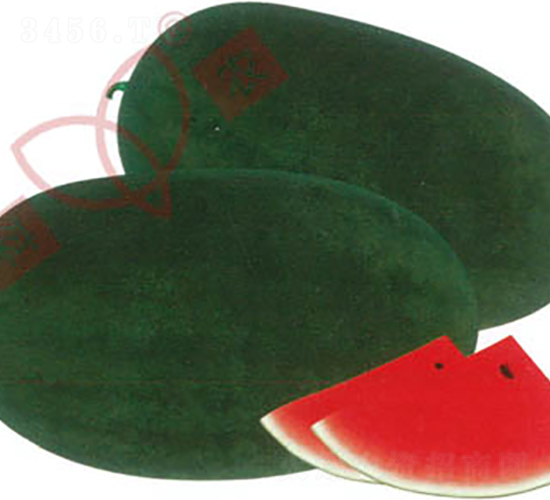 ���r(n��ng)�ڎ�-���ϷN��-���r(n��ng)�N�I(y��)