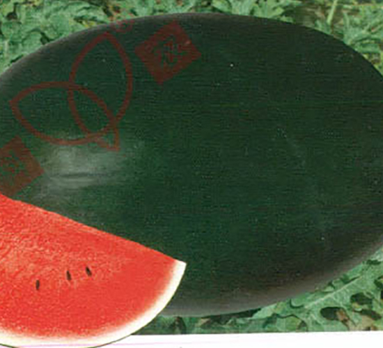 ���r(n��ng)��̖(h��o)-���ϷN��-���r(n��ng)�N�I(y��)