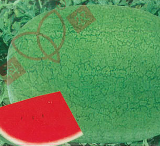 �G���S-���ϷN��-���r(n��ng)�N�I(y��)