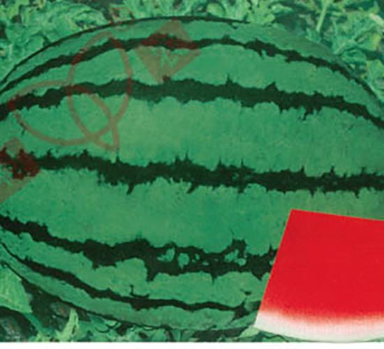 �Ї��r(n��ng)-���ϷN��-���r(n��ng)�N�I(y��)