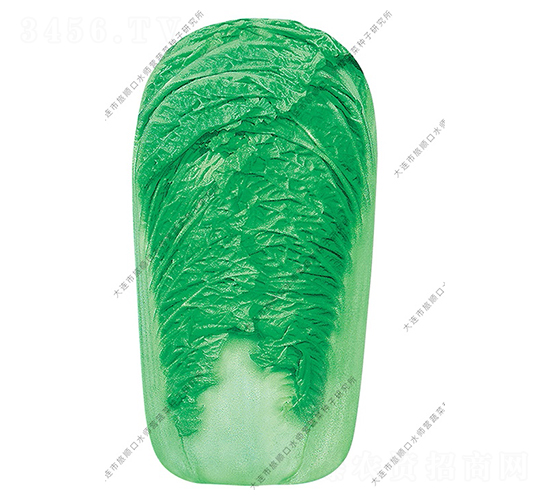 ��Gһ̖-�ײ˷N��-ˮ���I