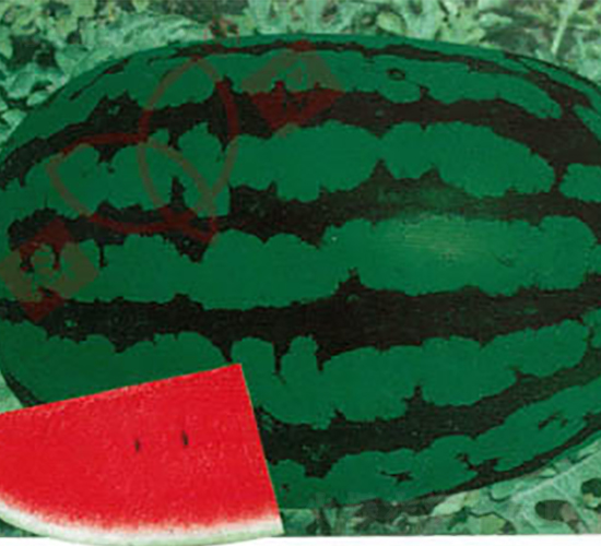 ���r(n��ng)ʮ̖(h��o)-���ϷN��-���r(n��ng)�N�I(y��)