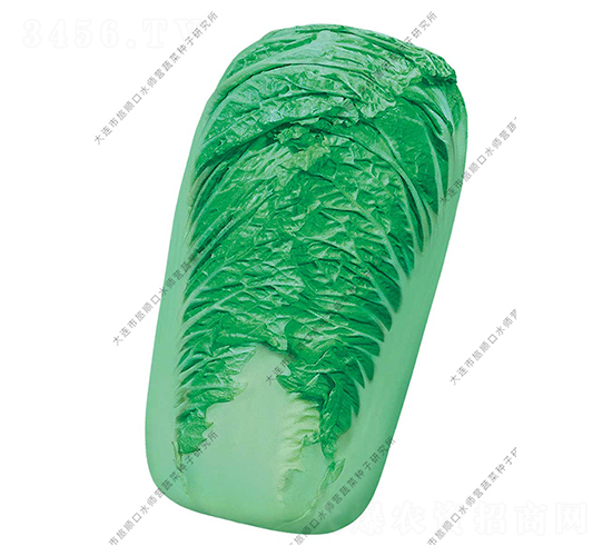 ˮ���I91-12-�ײ˷N��-ˮ���I