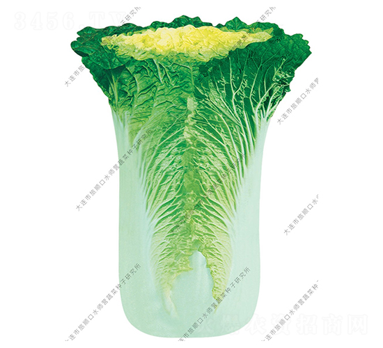 �����-�ײ˷N��-ˮ���I