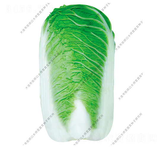 ˮ���I10̖(h��o)-�ײ˷N��-ˮ���I