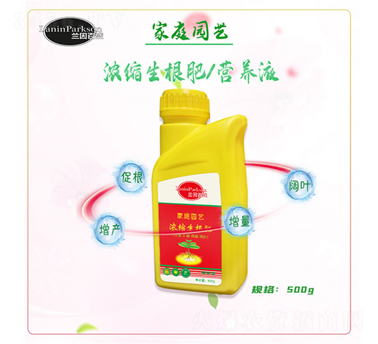 ��ͥ�@ˇ��s������-�m���ʢ-ïʢ����