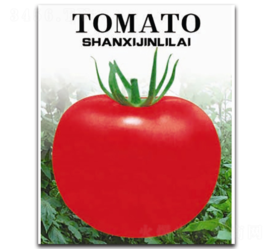 �t��-���ѷN��-�x���(l��i)