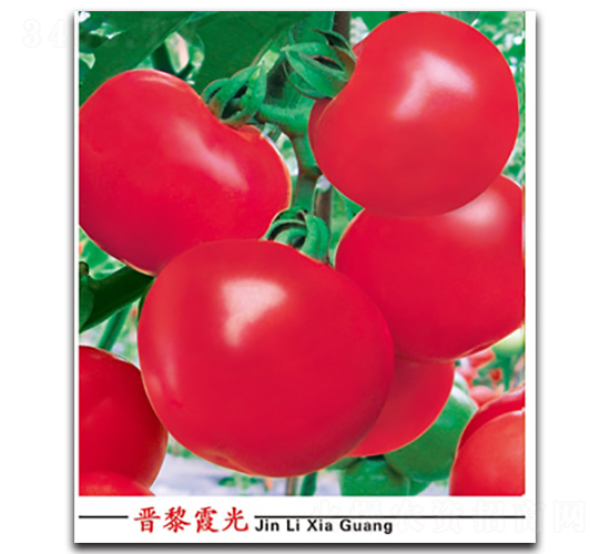 �x��ϼ��-���ѷN��-�x���