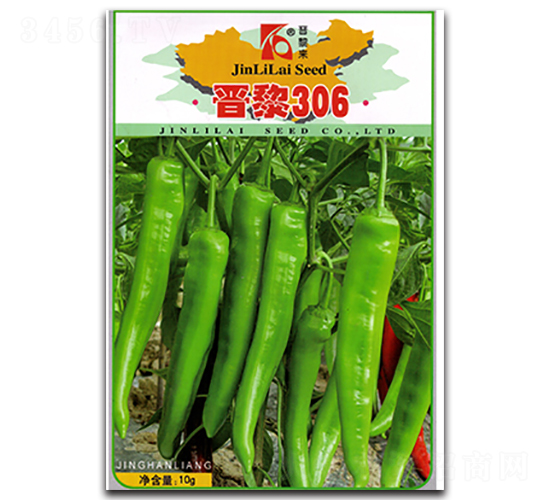 �x��306-�����N��-�x���