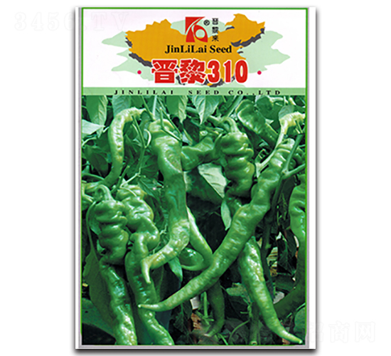 �x��310-�����N��-�x���