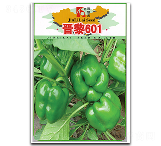 �x��601-�����N��-�x���(l��i)