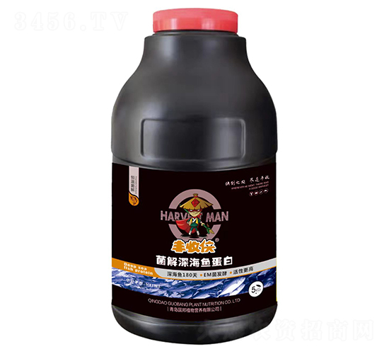 ø����~����-�S�Ղb-����ֲ��