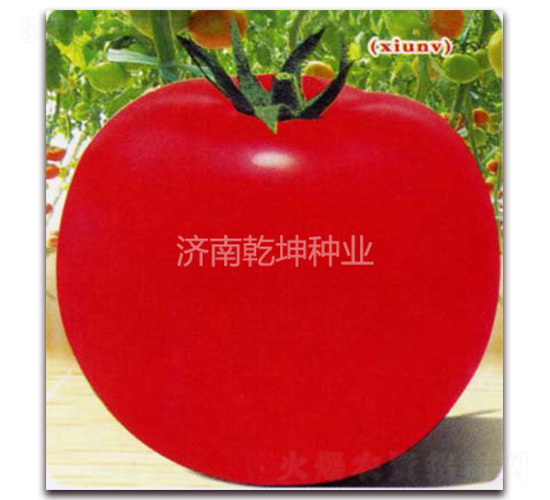 ��Ů-���ѷN��-Ǭ���N�I(y��)