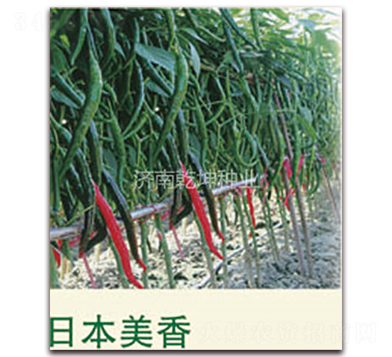 �ձ�����-�����N��-Ǭ���N�I(y��)