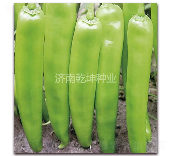 Ǭ��18̖-�����N��-Ǭ���N�I(y��)