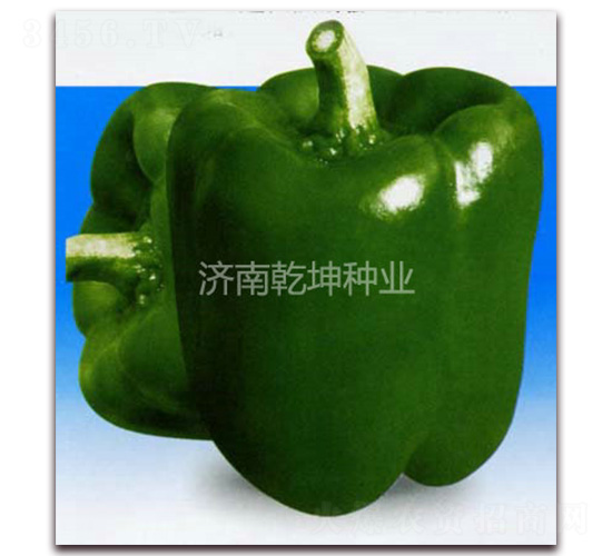 ������-�𽷷N��-Ǭ���N�I(y��)