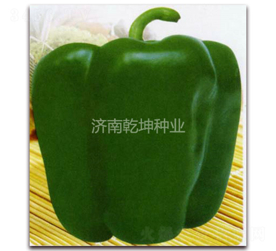 ��d��̖-�𽷷N��-Ǭ���N�I(y��)