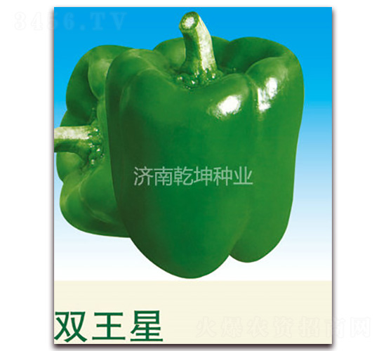 �p����-�𽷷N��-Ǭ���N�I(y��)