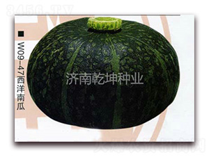 ����-�ϹϷN��-Ǭ���N�I(y��)