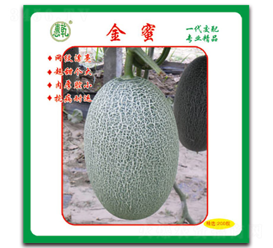 ����-��ϷN��-Ǭ���N�I(y��)